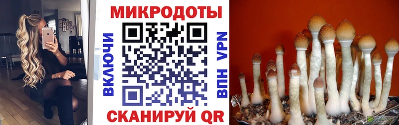 Галлюциногенные грибы Magic Shrooms  закладки  Ершов 